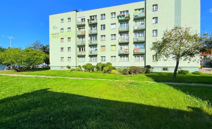 mieszkanie na sprzedaż - Piła, Zamość